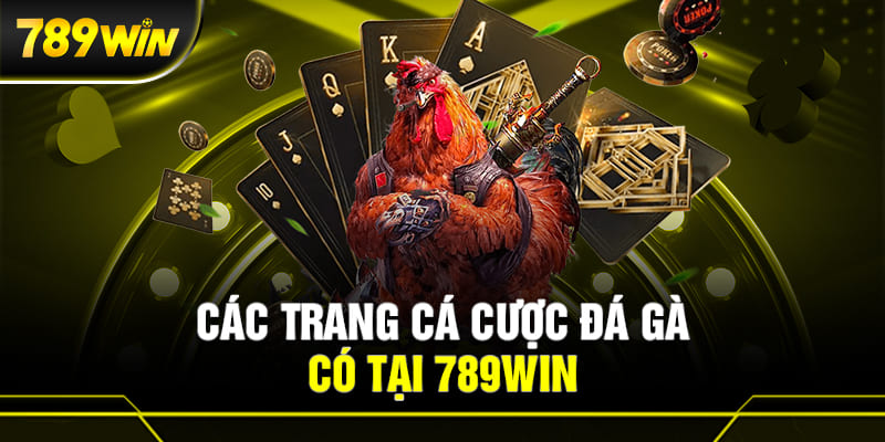 Các trang đá gà được yêu thích nhất có tại 789WIN