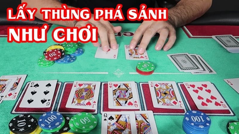 lay thung pha sanh nhu the nao
