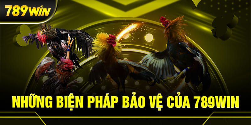 Tổng quan về đá gà 789WIN