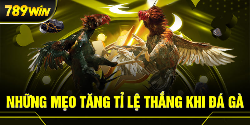Những mẹo tăng tỉ lệ thắng khi chơi đá gà