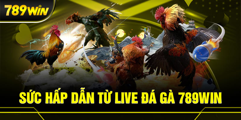 Sức hấp dãn từ các trận live đá gà trực tiếp 789WIN